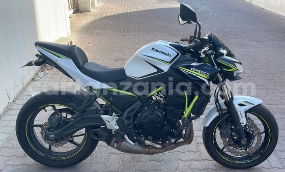 Buy Used Kawasaki Z White Bike in Arusha in Arusha Buy Used Kawasaki Z White Bike in Arusha in Arusha