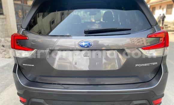 Nunua Mpya Subaru Forester Nyingine Gari ndani ya Dar es Salaam nchini Dar es Salaam Nunua Mpya Subaru Forester Nyingine Gari ndani ya Dar es Salaam nchini Dar es Salaam