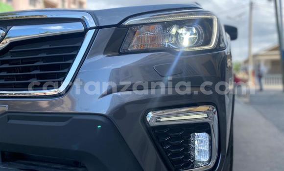 Nunua Mpya Subaru Forester Nyingine Gari ndani ya Dar es Salaam nchini Dar es Salaam Nunua Mpya Subaru Forester Nyingine Gari ndani ya Dar es Salaam nchini Dar es Salaam