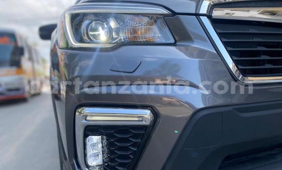 Nunua Mpya Subaru Forester Nyingine Gari ndani ya Dar es Salaam nchini Dar es Salaam Nunua Mpya Subaru Forester Nyingine Gari ndani ya Dar es Salaam nchini Dar es Salaam