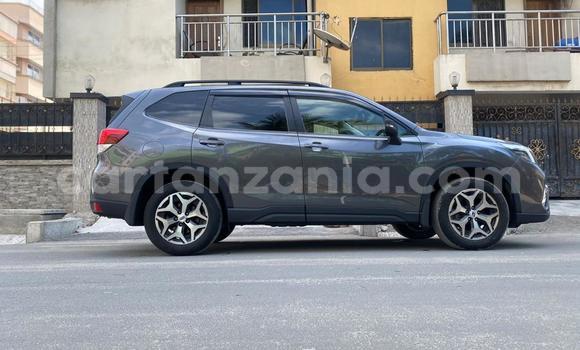 Nunua Mpya Subaru Forester Nyingine Gari ndani ya Dar es Salaam nchini Dar es Salaam Nunua Mpya Subaru Forester Nyingine Gari ndani ya Dar es Salaam nchini Dar es Salaam