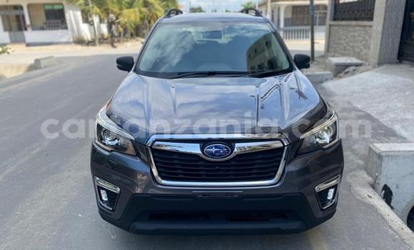 Nunua Mpya Subaru Forester Nyingine Gari ndani ya Dar es Salaam nchini Dar es Salaam Nunua Mpya Subaru Forester Nyingine Gari ndani ya Dar es Salaam nchini Dar es Salaam