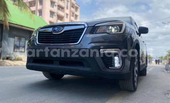 Nunua Mpya Subaru Forester Nyingine Gari ndani ya Dar es Salaam nchini Dar es Salaam Nunua Mpya Subaru Forester Nyingine Gari ndani ya Dar es Salaam nchini Dar es Salaam