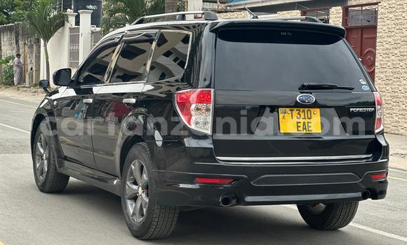 Nunua Ilio tumika Subaru Forester Nyeusi Gari ndani ya Dar es Salaam nchini Dar es Salaam Nunua Ilio tumika Subaru Forester Nyeusi Gari ndani ya Dar es Salaam nchini Dar es Salaam