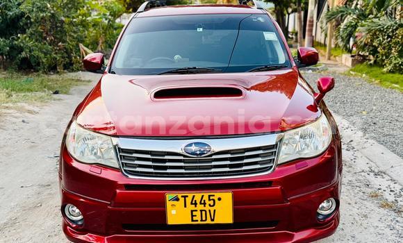 Buy Used Subaru Forester Other Car in Dar es Salaam in Dar es Salaam