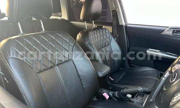 Nunua Ilio tumika Subaru Forester Nyingine Gari ndani ya Dar es Salaam nchini Dar es Salaam Nunua Ilio tumika Subaru Forester Nyingine Gari ndani ya Dar es Salaam nchini Dar es Salaam