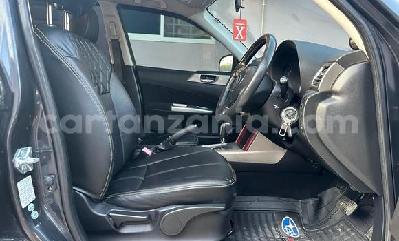 Nunua Ilio tumika Subaru Forester Nyingine Gari ndani ya Dar es Salaam nchini Dar es Salaam Nunua Ilio tumika Subaru Forester Nyingine Gari ndani ya Dar es Salaam nchini Dar es Salaam