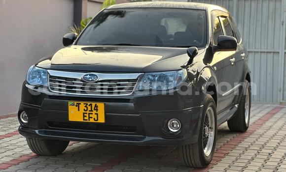 Nunua Ilio tumika Subaru Forester Nyingine Gari ndani ya Dar es Salaam nchini Dar es Salaam Nunua Ilio tumika Subaru Forester Nyingine Gari ndani ya Dar es Salaam nchini Dar es Salaam