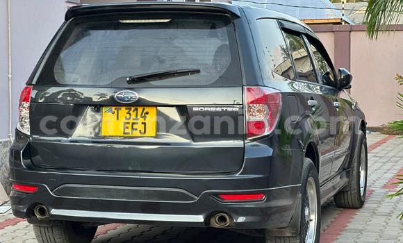 Nunua Ilio tumika Subaru Forester Nyingine Gari ndani ya Dar es Salaam nchini Dar es Salaam Nunua Ilio tumika Subaru Forester Nyingine Gari ndani ya Dar es Salaam nchini Dar es Salaam