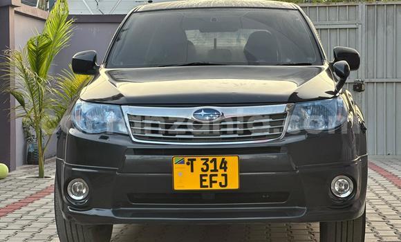Nunua Ilio tumika Subaru Forester Nyingine Gari ndani ya Dar es Salaam nchini Dar es Salaam Nunua Ilio tumika Subaru Forester Nyingine Gari ndani ya Dar es Salaam nchini Dar es Salaam