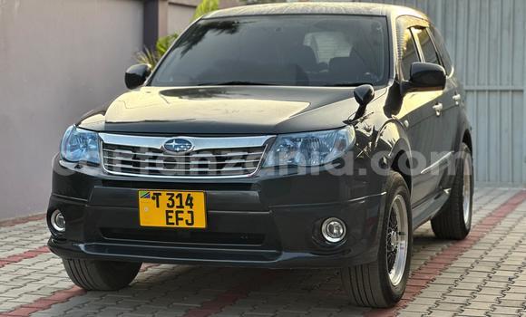 Nunua Ilio tumika Subaru Forester Nyingine Gari ndani ya Dar es Salaam nchini Dar es Salaam Nunua Ilio tumika Subaru Forester Nyingine Gari ndani ya Dar es Salaam nchini Dar es Salaam