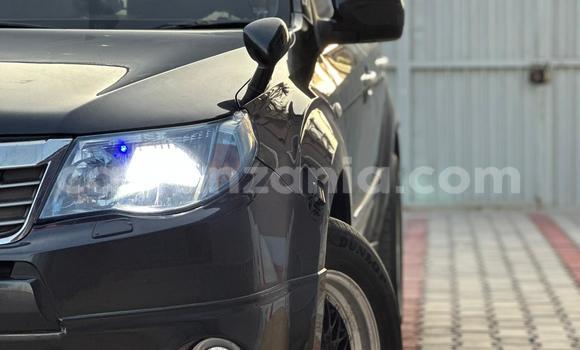 Nunua Ilio tumika Subaru Forester Nyingine Gari ndani ya Dar es Salaam nchini Dar es Salaam Nunua Ilio tumika Subaru Forester Nyingine Gari ndani ya Dar es Salaam nchini Dar es Salaam