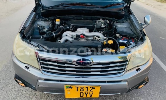Nunua Ilio tumika Subaru Forester Nyingine Gari ndani ya Buhigwe nchini Kigoma Nunua Ilio tumika Subaru Forester Nyingine Gari ndani ya Buhigwe nchini Kigoma
