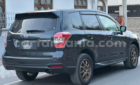 Buy Used Subaru Forester Black Car in Dar es Salaam in Dar es Salaam Buy Used Subaru Forester Black Car in Dar es Salaam in Dar es Salaam