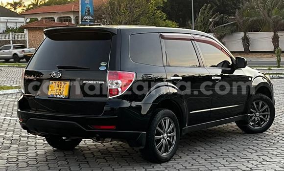 Buy Used Subaru Forester Black Car in Ilala in Dar es Salaam Buy Used Subaru Forester Black Car in Ilala in Dar es Salaam