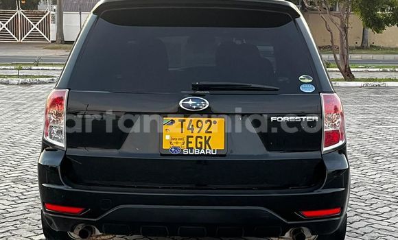 Buy Used Subaru Forester Black Car in Ilala in Dar es Salaam Buy Used Subaru Forester Black Car in Ilala in Dar es Salaam