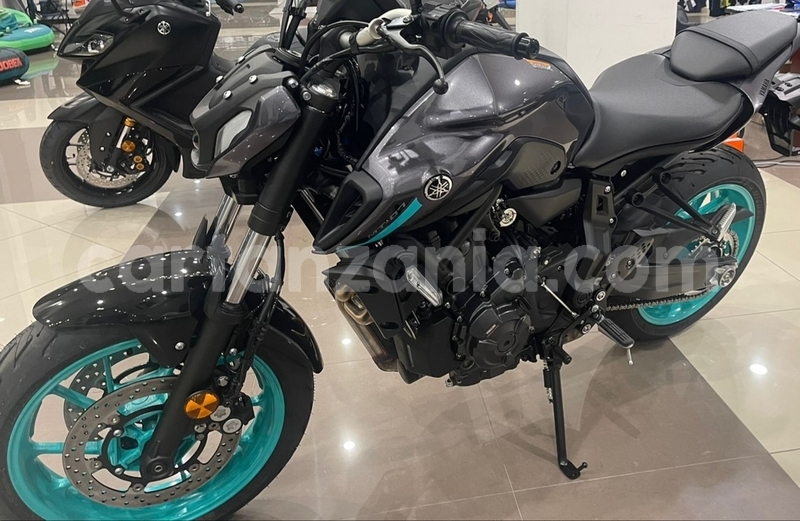 Big with watermark yamaha mt arusha arusha 25006