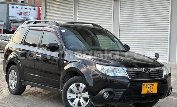 Nunua Ilio tumika Subaru Forester Nyeusi Gari ndani ya Dar es Salaam nchini Dar es Salaam Nunua Ilio tumika Subaru Forester Nyeusi Gari ndani ya Dar es Salaam nchini Dar es Salaam
