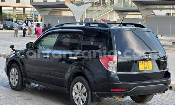 Nunua Ilio tumika Subaru Forester Nyeusi Gari ndani ya Dar es Salaam nchini Dar es Salaam Nunua Ilio tumika Subaru Forester Nyeusi Gari ndani ya Dar es Salaam nchini Dar es Salaam