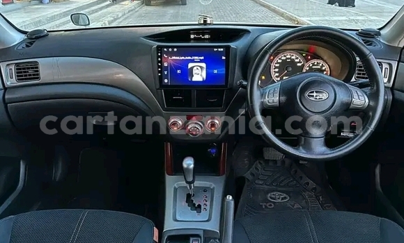 Nunua Ilio tumika Subaru Forester Nyeupe Gari ndani ya Buhigwe nchini Kigoma Nunua Ilio tumika Subaru Forester Nyeupe Gari ndani ya Buhigwe nchini Kigoma