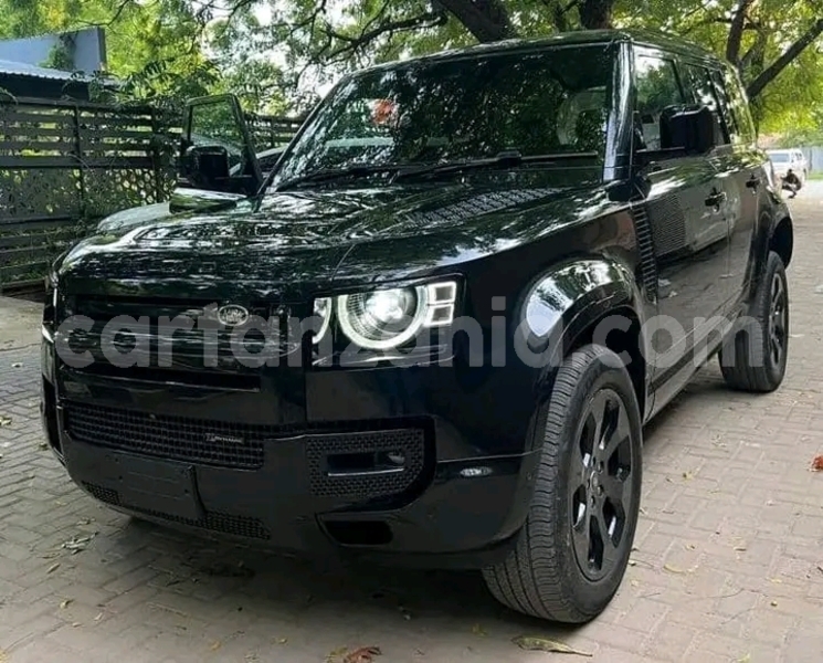 Big with watermark land rover defender simiyu bariadi 25311