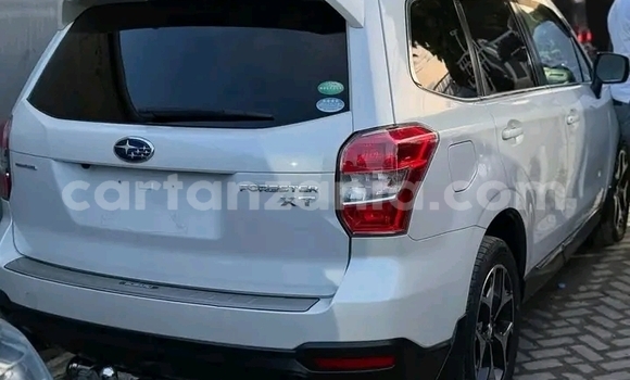 Nunua Ilio tumika Subaru Forester Nyeupe Gari ndani ya Karagwe nchini Kagera Nunua Ilio tumika Subaru Forester Nyeupe Gari ndani ya Karagwe nchini Kagera