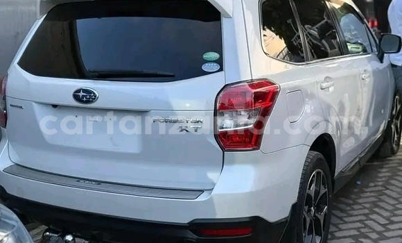 Nunua Ilio tumika Subaru Forester Nyeupe Gari ndani ya Karagwe nchini Kagera Nunua Ilio tumika Subaru Forester Nyeupe Gari ndani ya Karagwe nchini Kagera