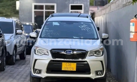 Nunua Ilio tumika Subaru Forester Nyeupe Gari ndani ya Karagwe nchini Kagera Nunua Ilio tumika Subaru Forester Nyeupe Gari ndani ya Karagwe nchini Kagera