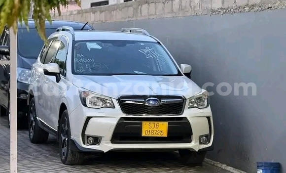 Nunua Ilio tumika Subaru Forester Nyeupe Gari ndani ya Karagwe nchini Kagera Nunua Ilio tumika Subaru Forester Nyeupe Gari ndani ya Karagwe nchini Kagera