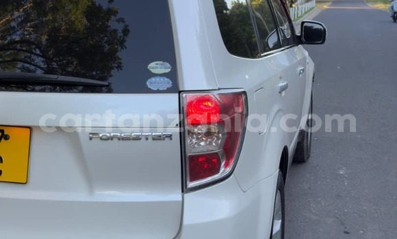 Nunua Ilio tumika Subaru Forester Nyeupe Gari ndani ya Dar es Salaam nchini Dar es Salaam Nunua Ilio tumika Subaru Forester Nyeupe Gari ndani ya Dar es Salaam nchini Dar es Salaam