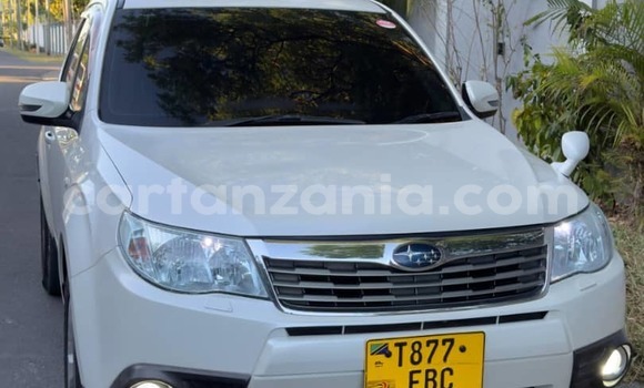 Nunua Ilio tumika Subaru Forester Nyeupe Gari ndani ya Dar es Salaam nchini Dar es Salaam Nunua Ilio tumika Subaru Forester Nyeupe Gari ndani ya Dar es Salaam nchini Dar es Salaam
