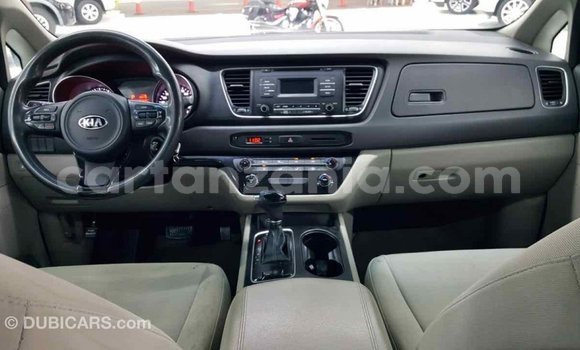 Buy Import Kia Carnival Other Car in Import - Dubai in Arusha