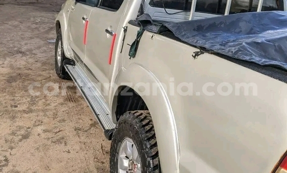 Nunua Ilio tumika Toyota Hilux Nyingine Gari ndani ya Biharamulo nchini Kagera Nunua Ilio tumika Toyota Hilux Nyingine Gari ndani ya Biharamulo nchini Kagera