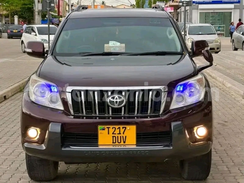 Big with watermark toyota land cruiser prado simiyu bariadi 25510