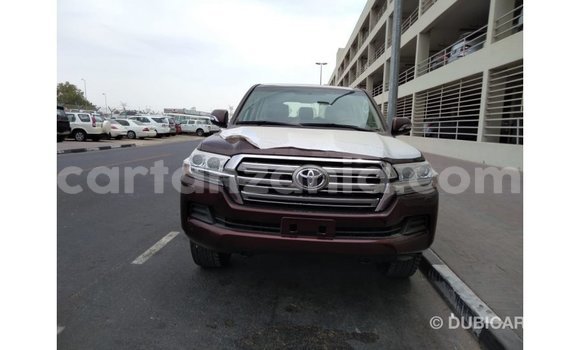 Buy Import Toyota Land Cruiser Brown Car in Import - Dubai in Arusha Buy Import Toyota Land Cruiser Brown Car in Import - Dubai in Arusha