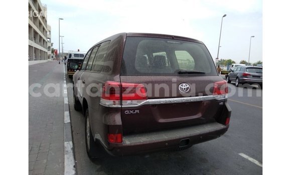 Buy Import Toyota Land Cruiser Brown Car in Import - Dubai in Arusha Buy Import Toyota Land Cruiser Brown Car in Import - Dubai in Arusha