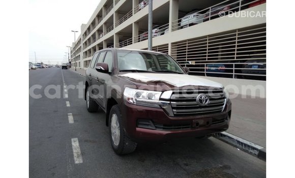 Buy Import Toyota Land Cruiser Brown Car in Import - Dubai in Arusha Buy Import Toyota Land Cruiser Brown Car in Import - Dubai in Arusha