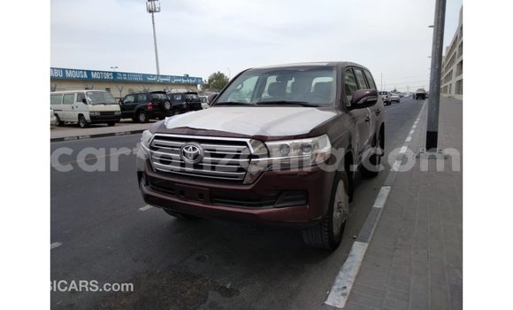 Buy Import Toyota Land Cruiser Brown Car in Import - Dubai in Arusha Buy Import Toyota Land Cruiser Brown Car in Import - Dubai in Arusha