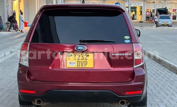Buy Used Subaru Forester Red Car in Dar es Salaam in Dar es Salaam