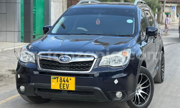 Nunua Ilio tumika Subaru Forester Nyeupe Gari ndani ya Ilala nchini Dar es Salaam Nunua Ilio tumika Subaru Forester Nyeupe Gari ndani ya Ilala nchini Dar es Salaam