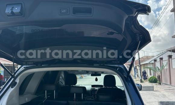 Nunua Ilio tumika Subaru Forester Nyeupe Gari ndani ya Ilala nchini Dar es Salaam Nunua Ilio tumika Subaru Forester Nyeupe Gari ndani ya Ilala nchini Dar es Salaam