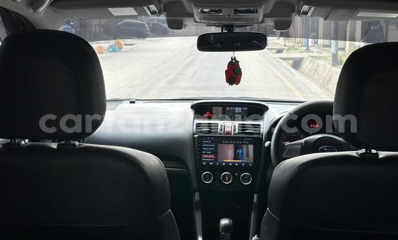 Nunua Ilio tumika Subaru Forester Nyeupe Gari ndani ya Ilala nchini Dar es Salaam Nunua Ilio tumika Subaru Forester Nyeupe Gari ndani ya Ilala nchini Dar es Salaam