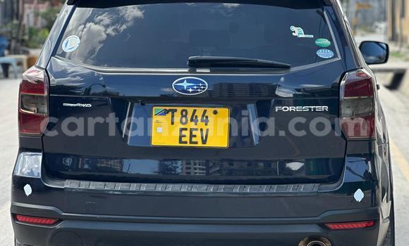Nunua Ilio tumika Subaru Forester Nyeupe Gari ndani ya Ilala nchini Dar es Salaam Nunua Ilio tumika Subaru Forester Nyeupe Gari ndani ya Ilala nchini Dar es Salaam