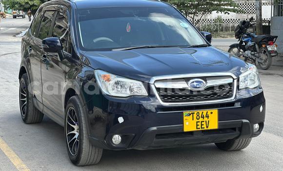 Nunua Ilio tumika Subaru Forester Nyeupe Gari ndani ya Ilala nchini Dar es Salaam Nunua Ilio tumika Subaru Forester Nyeupe Gari ndani ya Ilala nchini Dar es Salaam