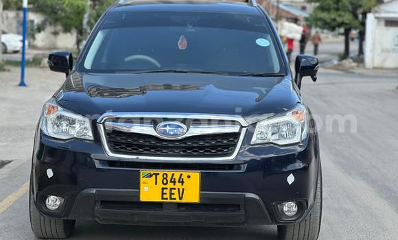 Nunua Ilio tumika Subaru Forester Nyeupe Gari ndani ya Ilala nchini Dar es Salaam Nunua Ilio tumika Subaru Forester Nyeupe Gari ndani ya Ilala nchini Dar es Salaam