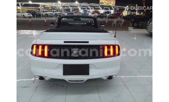 Nunua Imported Ford Mustang Nyeupe Gari ndani ya Import - Dubai nchini Arusha Nunua Imported Ford Mustang Nyeupe Gari ndani ya Import - Dubai nchini Arusha