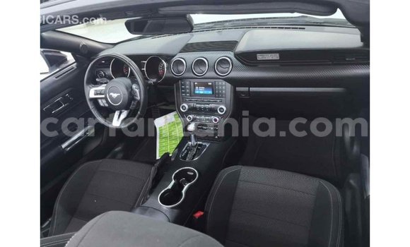Nunua Imported Ford Mustang Nyeupe Gari ndani ya Import - Dubai nchini Arusha Nunua Imported Ford Mustang Nyeupe Gari ndani ya Import - Dubai nchini Arusha