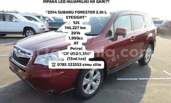 Buy New Subaru Forester Red Car in Dar es Salaam in Dar es Salaam
