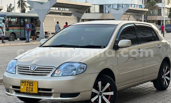 Nunua Ilio tumika Toyota Allex Beige Gari ndani ya Dar es Salaam nchini Dar es Salaam
