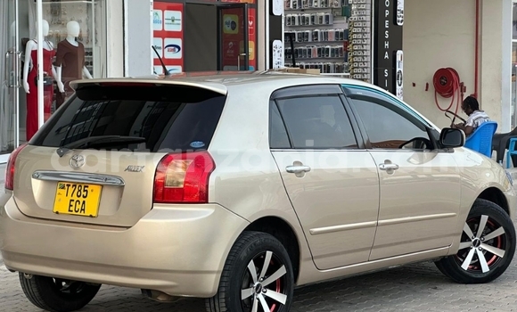 Buy Used Toyota Allex Beige Car in Dar es Salaam in Dar es Salaam Buy Used Toyota Allex Beige Car in Dar es Salaam in Dar es Salaam